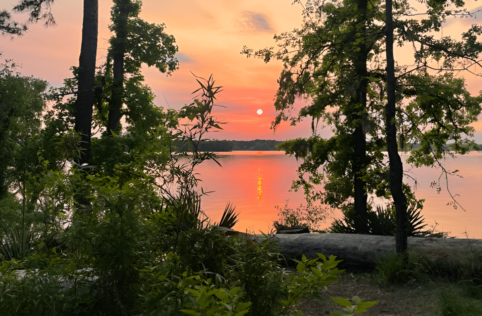 Houston Forest Bathing & Nature Therapy