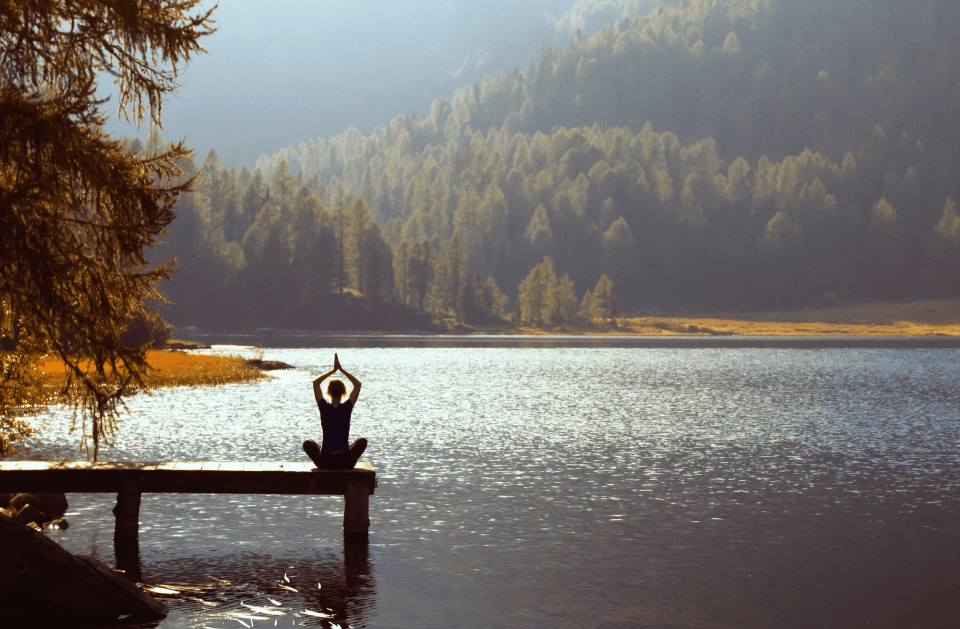 Houston Forest Bathing & Nature Therapy